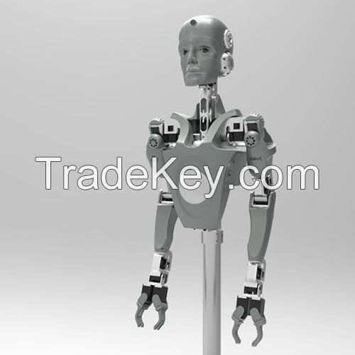 Flexible dual-arm robot (education)