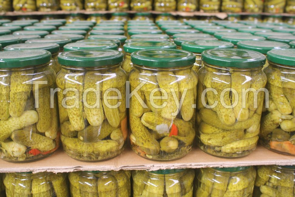 Canned Cucumber (gherkins)