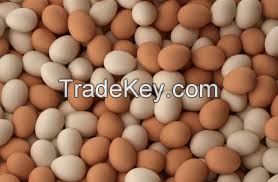 Farm Fresh Chicken Table Eggs, White Chicken Eggs, Brown Chicken Eggs