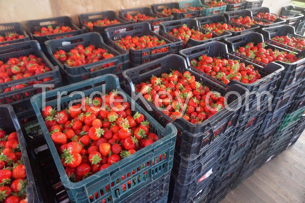 Strawberries