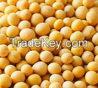 Cheap Yellow Soyabean Grade I for sale NOW AVAILABLE 