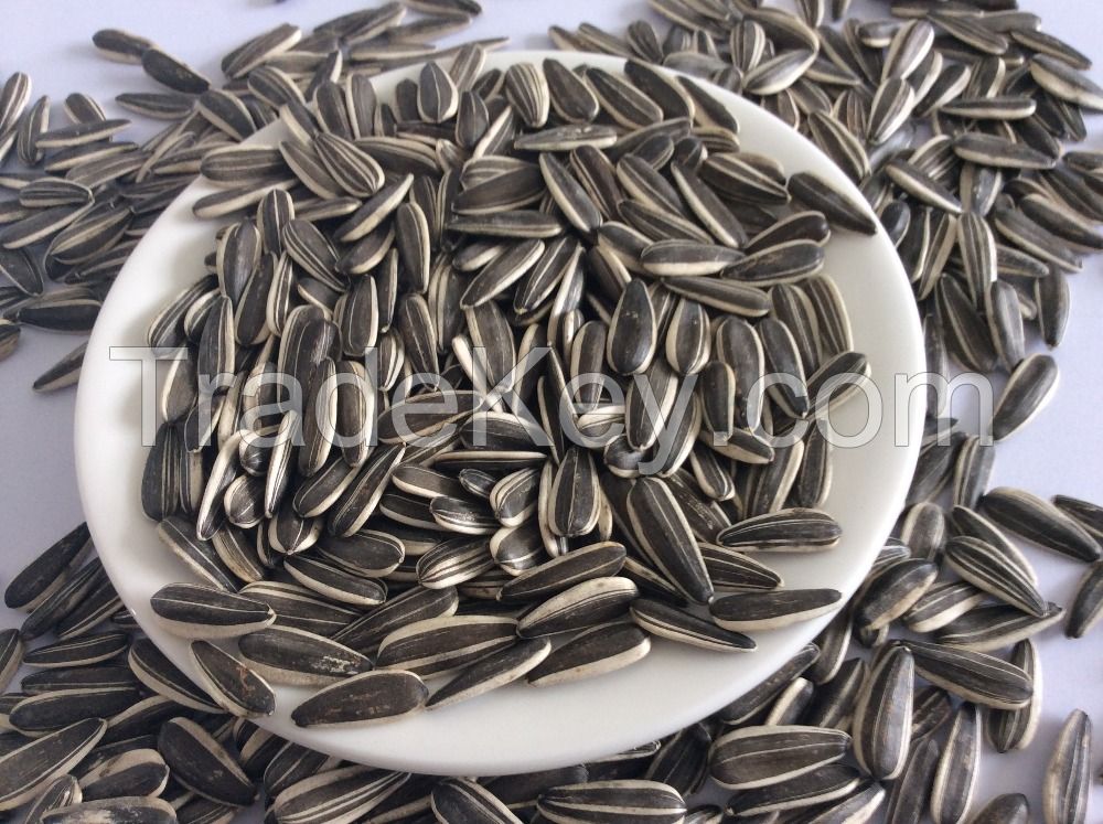 Cheap Sunflower seeds Grade I for sale NOW AVAILABLE 