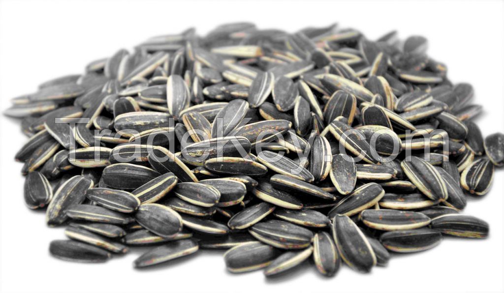 Cheap Sunflower seeds Grade I for sale NOW AVAILABLE 