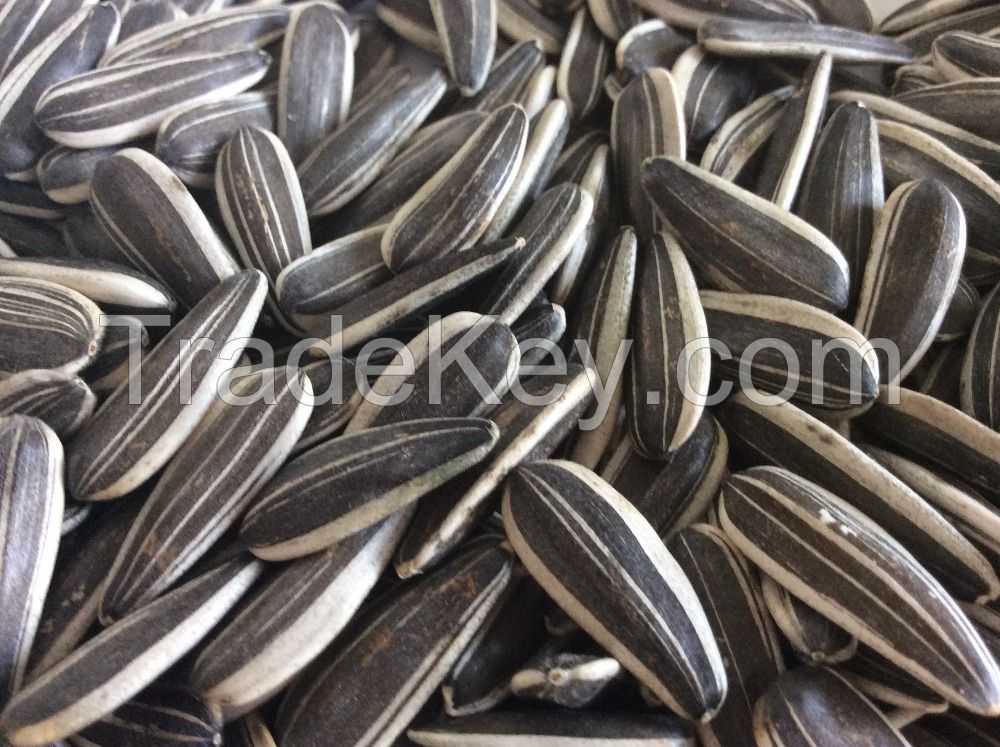 Cheap Sunflower seeds Grade I for sale NOW AVAILABLE 