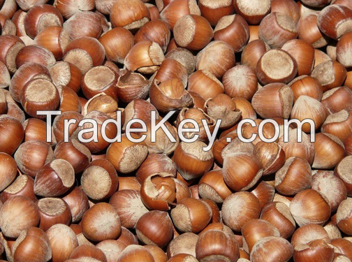 Almonds , Cashew, Macadamia , walnuts, hazlenuts  and more for exports.