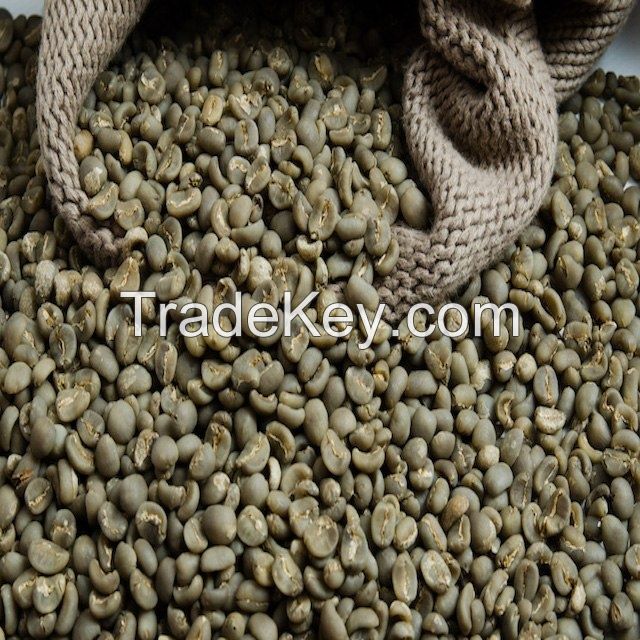 Arabica coffee beans