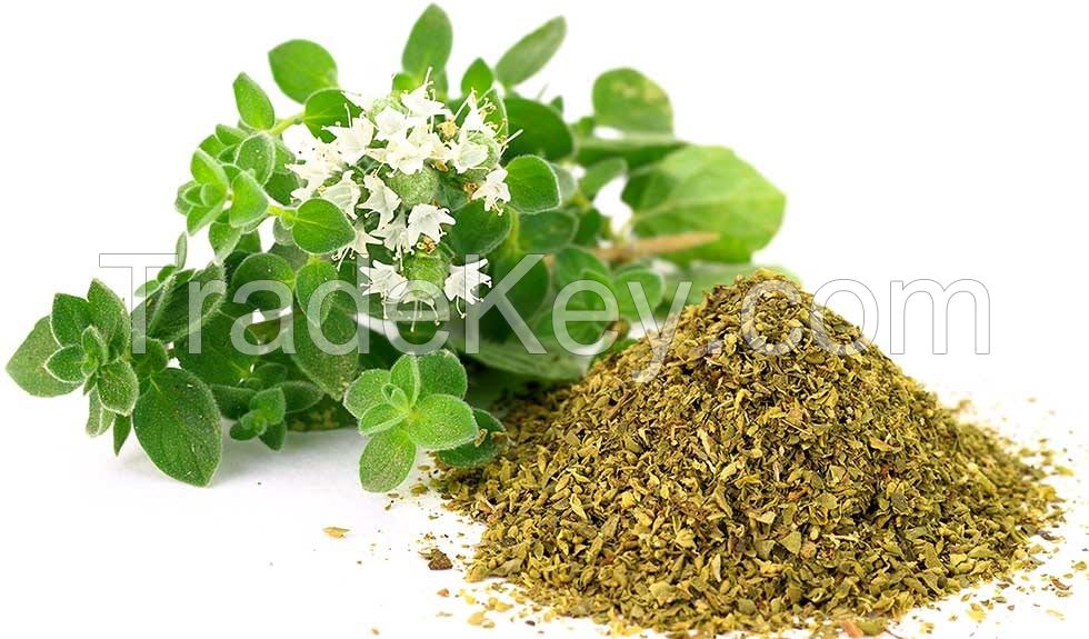 Tuna Project: Turkish Oregano