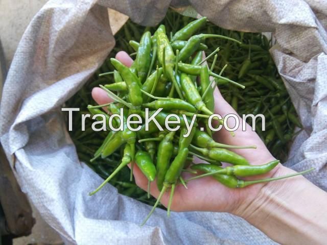 Dried chili product with Best price Vietnam