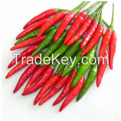 Dried chili product with Best price Vietnam