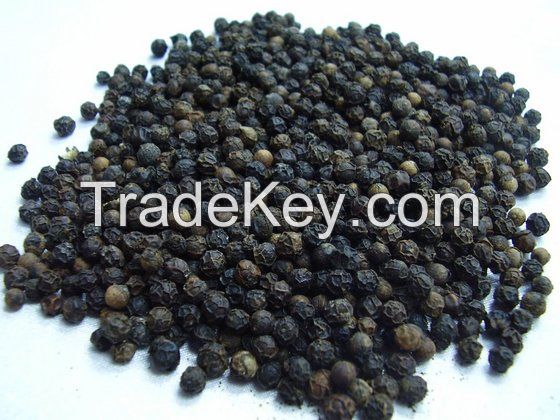 Black Pepper (Piper Guineense)