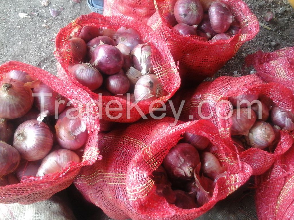 Indian Red Onion