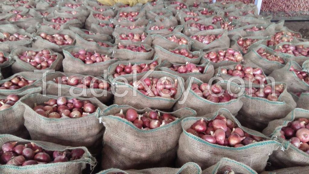 Indian Red Onion