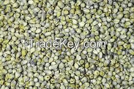 Green MIllet