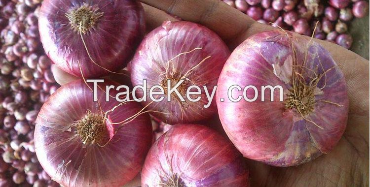 Natural Fresh Organic Red Onion