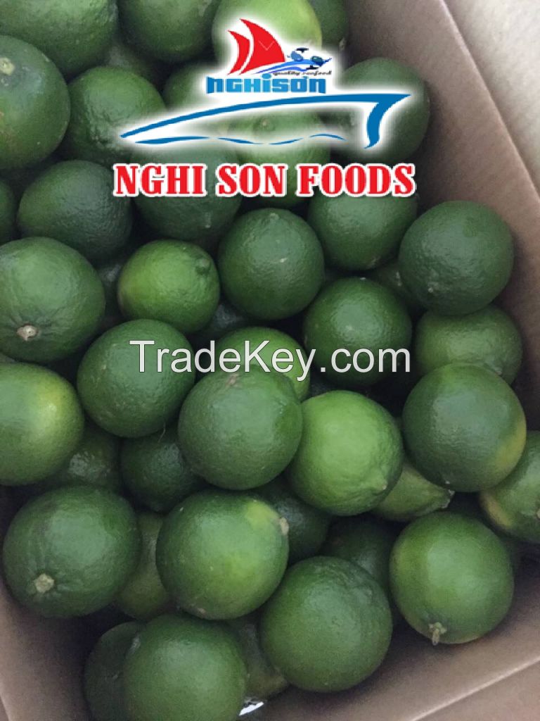 FRESH LIME FROM VIETNAM