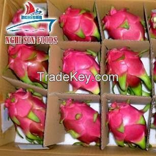 FRESH DRAGON FRUIT