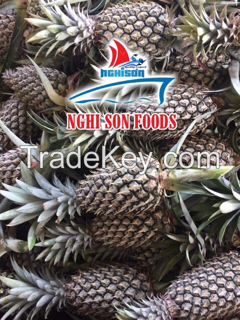 FRESH PINEAPPLE (Whatsapp: +84 986 365 621)