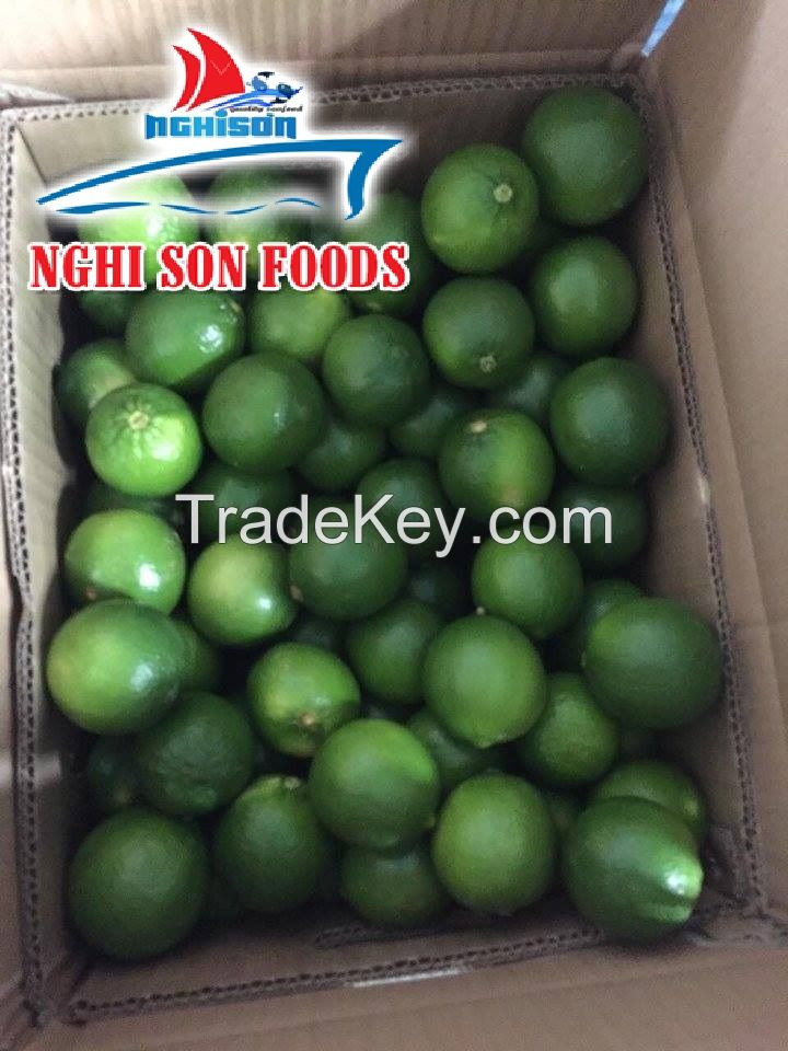 FRESH SEEDLESS LIME WHATSAPP +84986365621