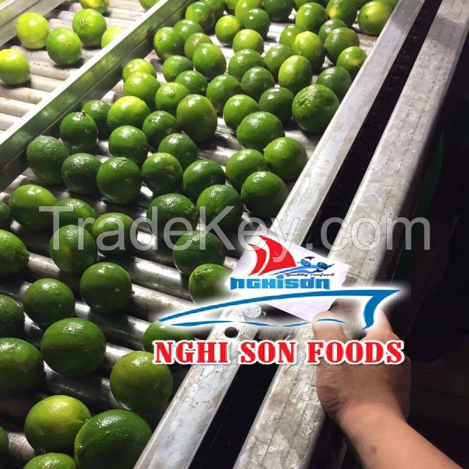 FRESH SEEDLESS LIME WHATSAPP +84986365621