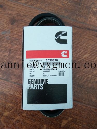 k19 k38 k50 engine parts belt 3039376