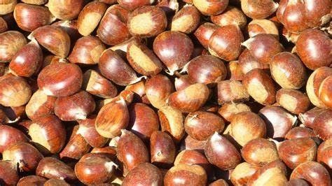 Chestnuts