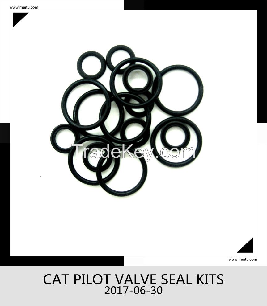 Pilot valve oil seal kits