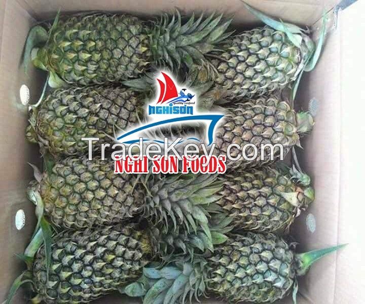 Vietnamese Fresh Pineapple Supplier.