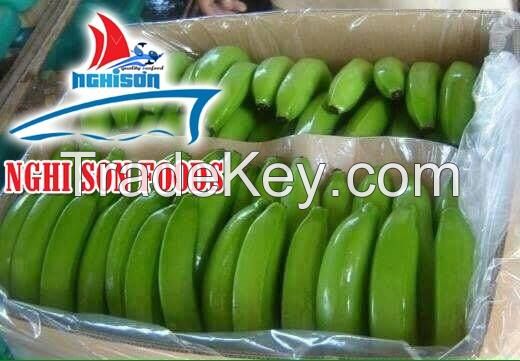 Fresh Cavendish Banana Supplier in Viet Nam