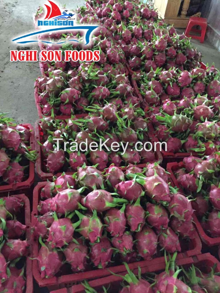 FRESH DRAGON FRUIT EXPORTER FROM VIET NAM