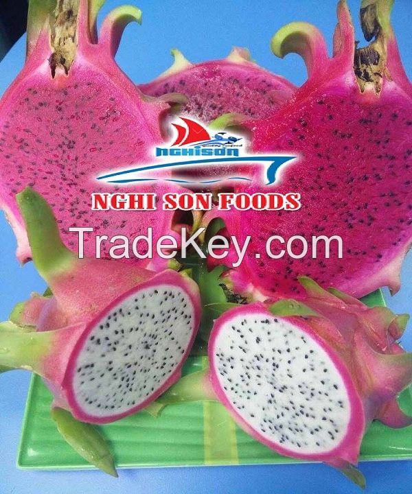 FRESH DRAGON FRUIT EXPORTER FROM VIET NAM