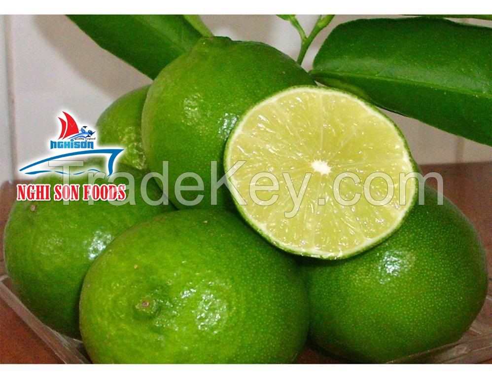 FRESH LIME SUPPLIER FROM VIET NAM 