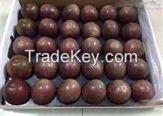 High Quality Fresh PASSION FRUIT With Reasonable Price.