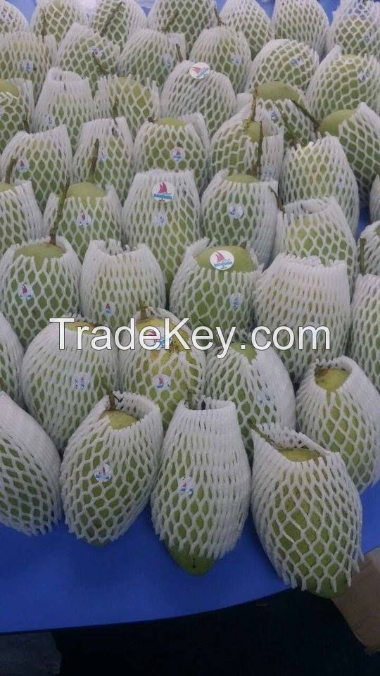 Viet Nam Fresh Mango Natural and Best Price.