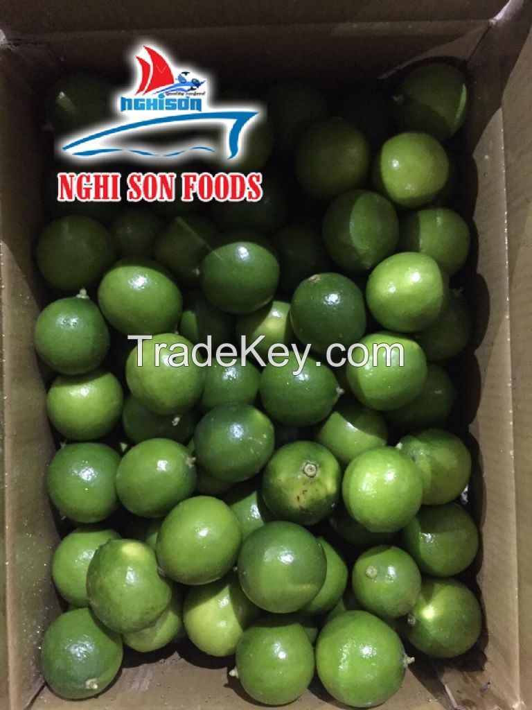 Fresh Lime Manufacturer of Viet Nam Best Price