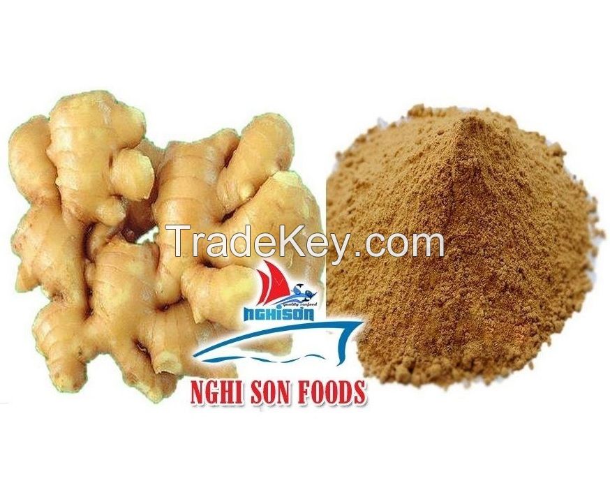 Fresh Ginger from Viet Nam Exporters