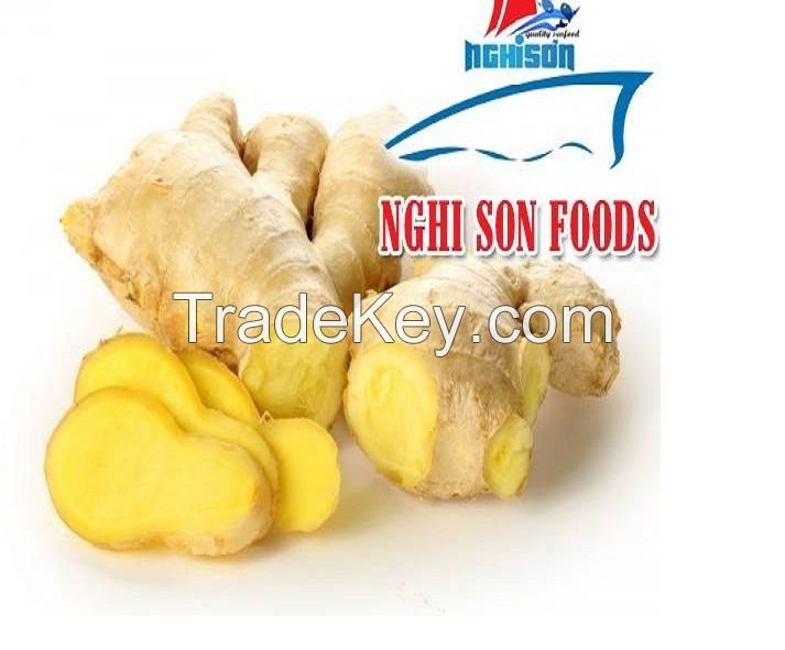 Fresh Ginger from Viet Nam Exporters