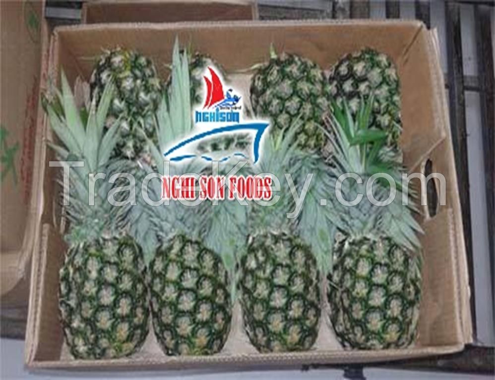 Fresh Tropical Pineapple with the Best Price from Viet Nam