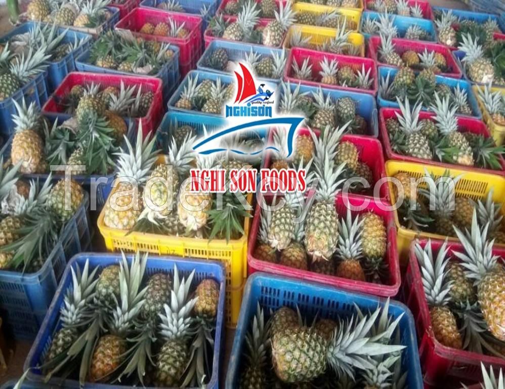 Fresh Tropical Pineapple with the Best Price from Viet Nam