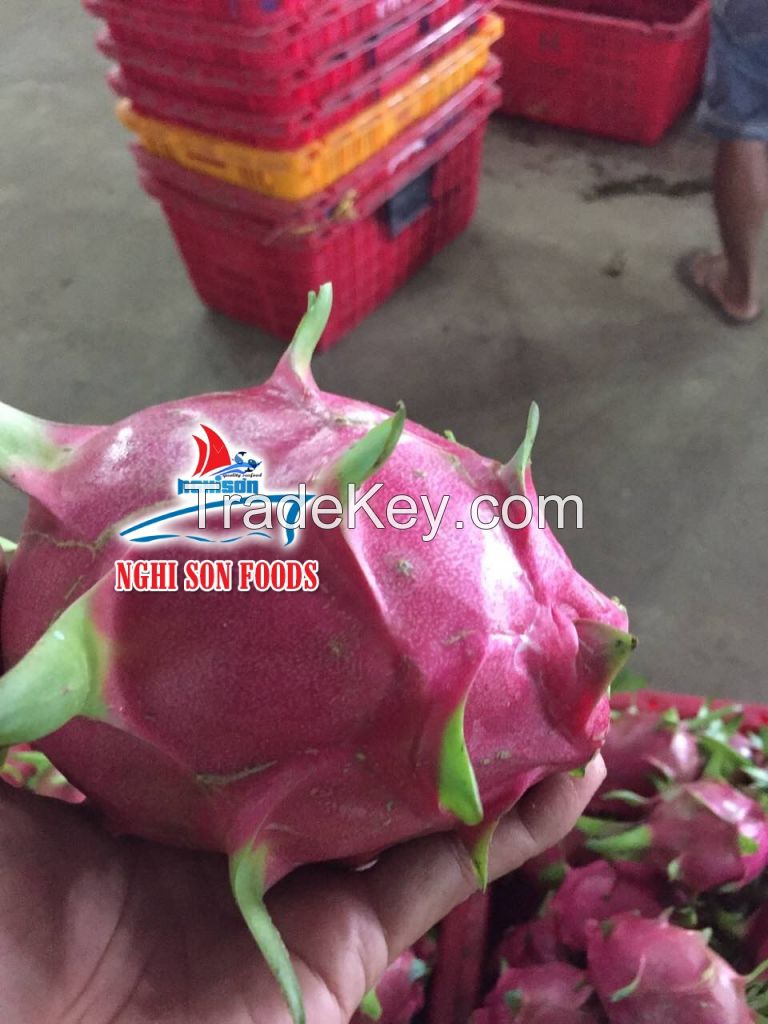 Fresh Dragon Fruit