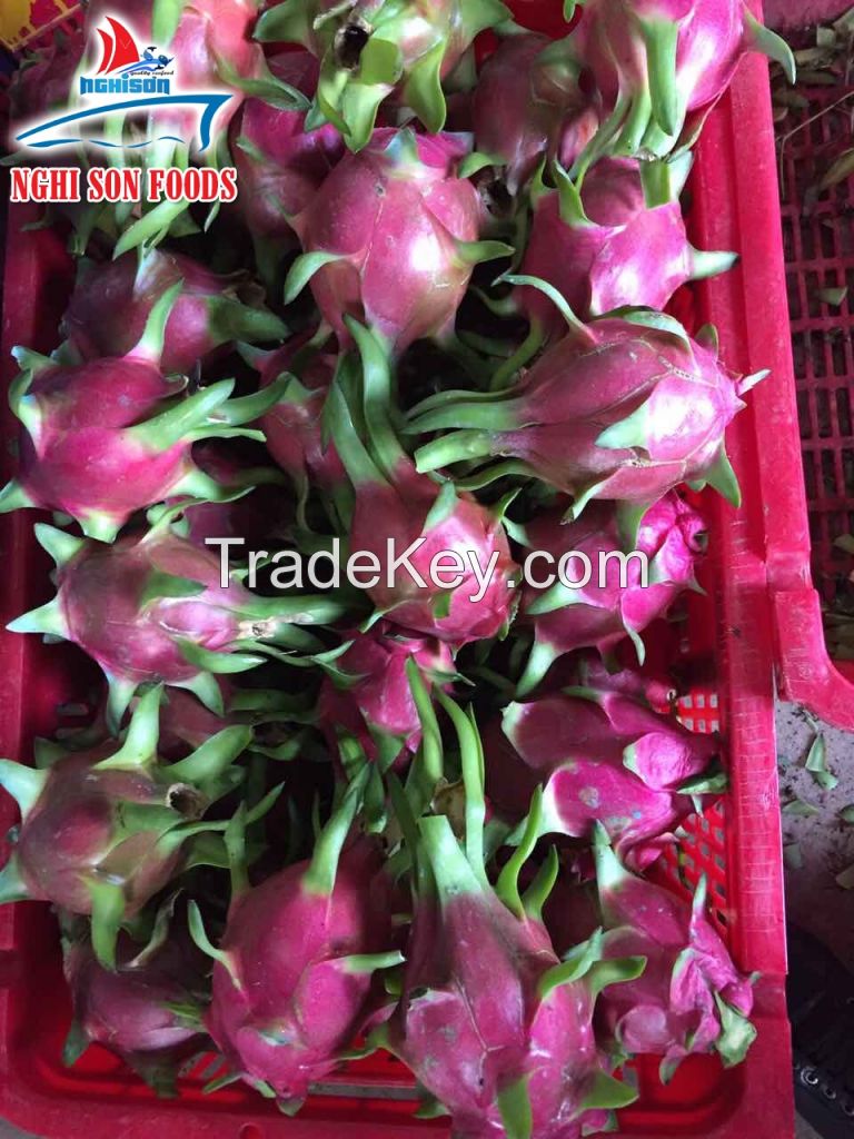 Fresh Dragon Fruit