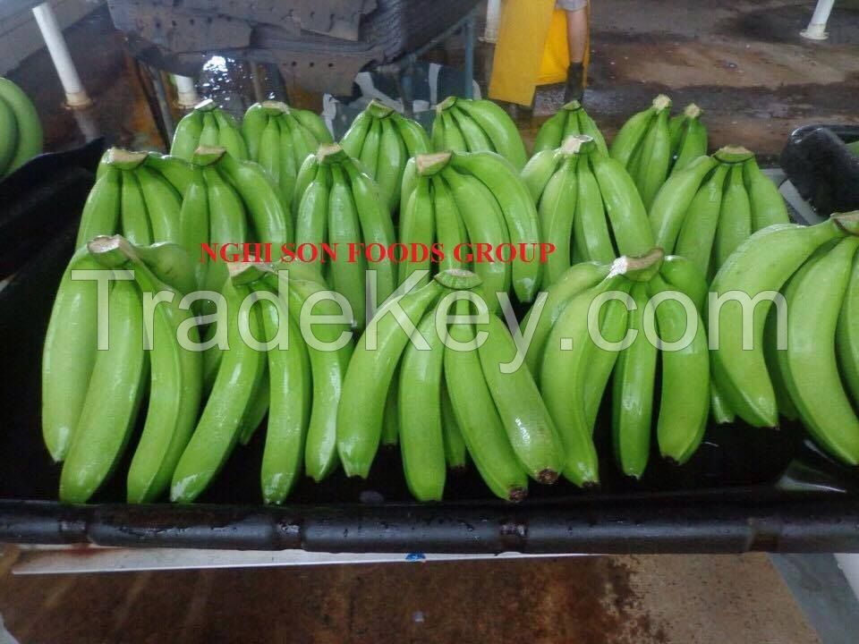 Fresh Cavendish Banana