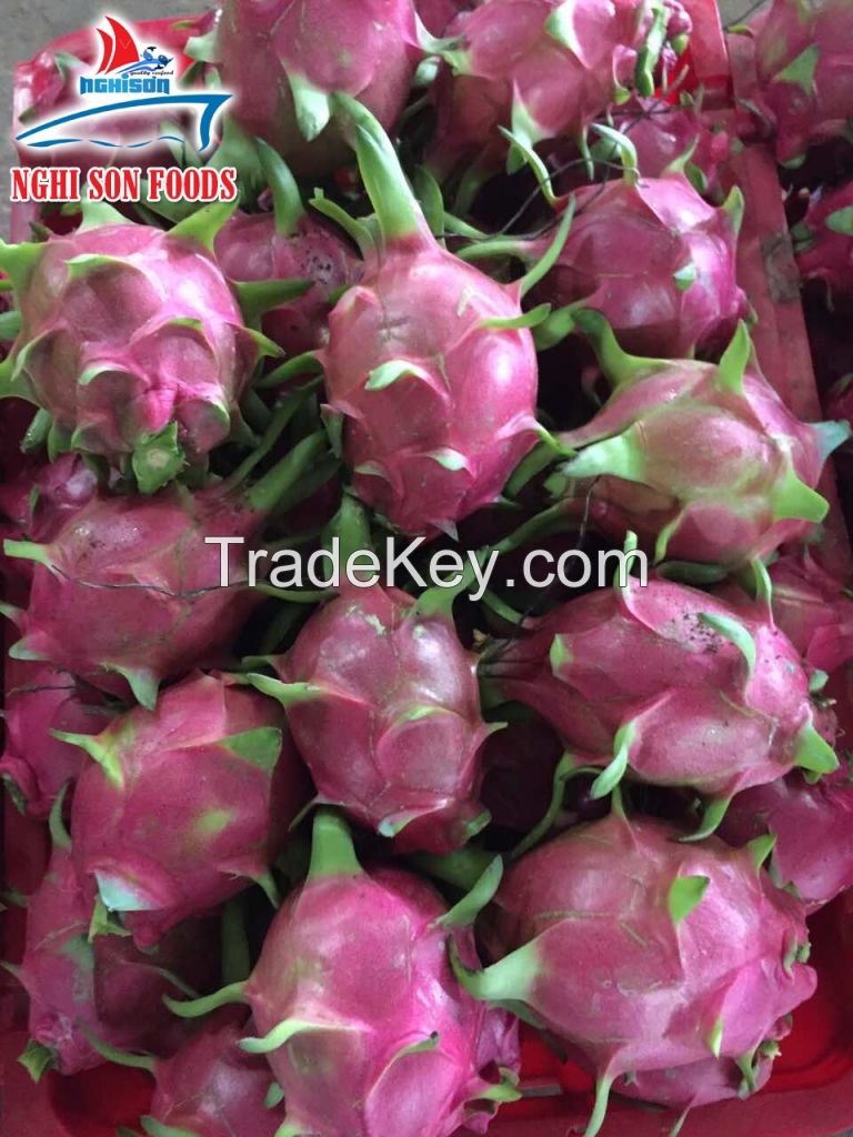 Fresh Dragon Fruit