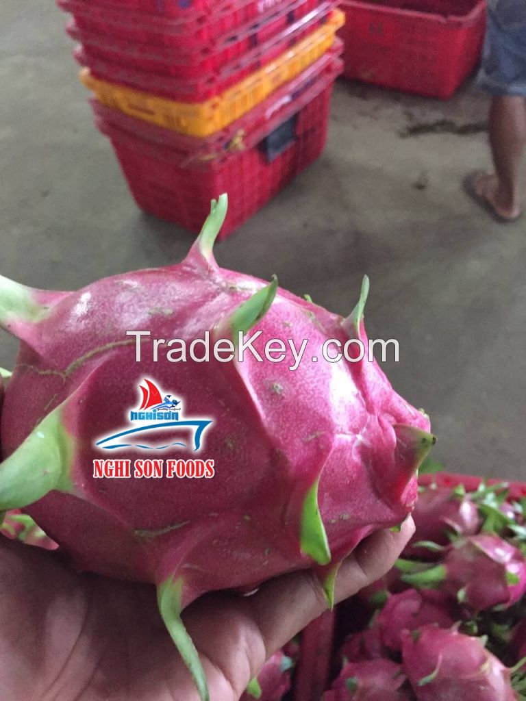 DRAGON FRUIT FOR SALE