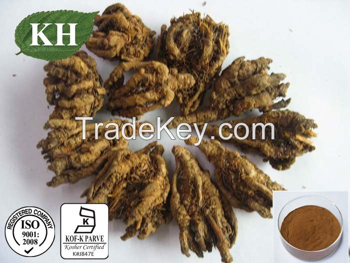 Coptis chinensis extract