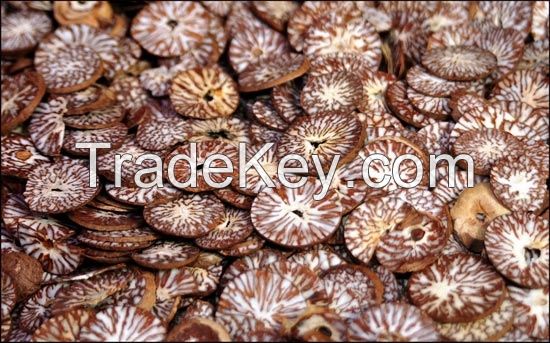 Supply of dry Areca Nut for export