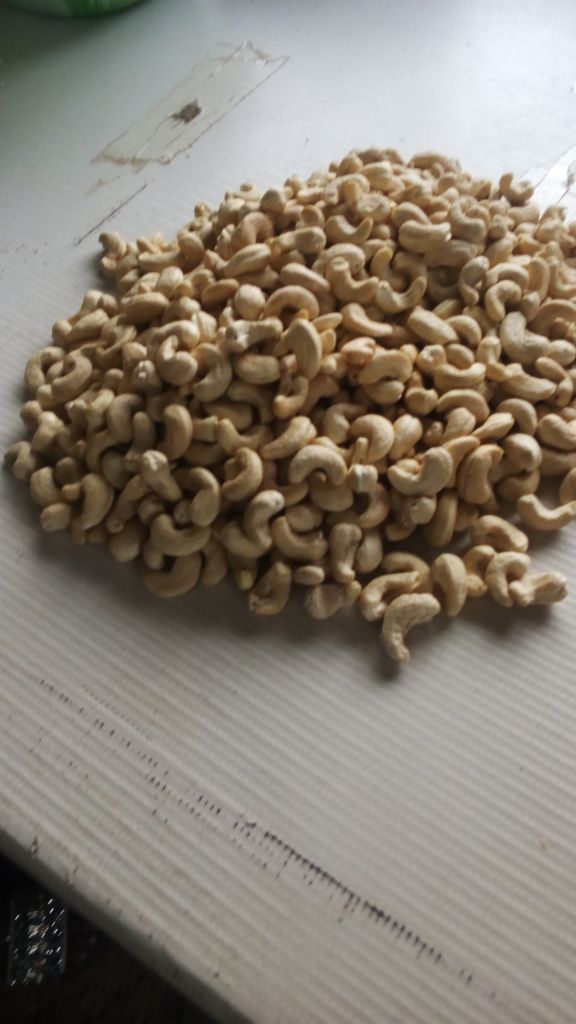 cashew kernel nuts