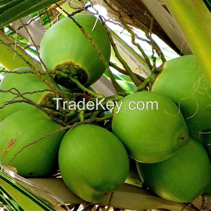 Raw Coconut