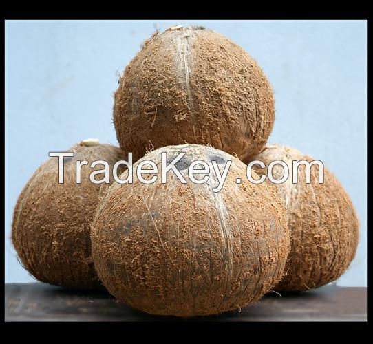 Dried Coconut