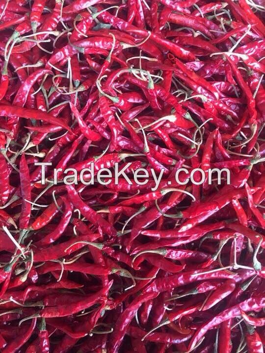 Trade chance to export and import TEJA S17 chili from India