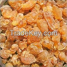 Gum Arabic